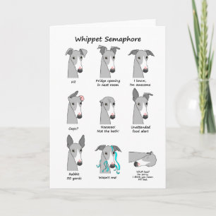 Whippet Semaphore Card