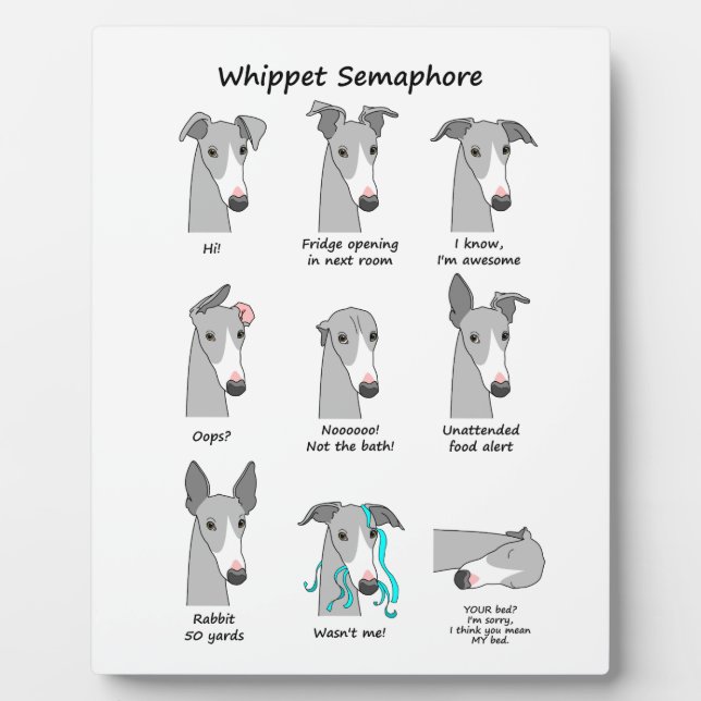 Whippet Semaphore Plaque (Front)