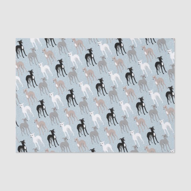 Whippets or Italian Greyhounds Tissue Paper (Front)