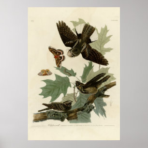 Whippoorwill Poster