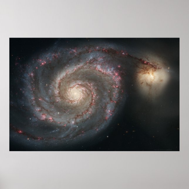 Whirlpool Galaxy M51+Companion Galaxy 36x24 (39x26 Poster (Front)