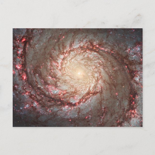 Whirlpool Galaxy Postcard (Front)