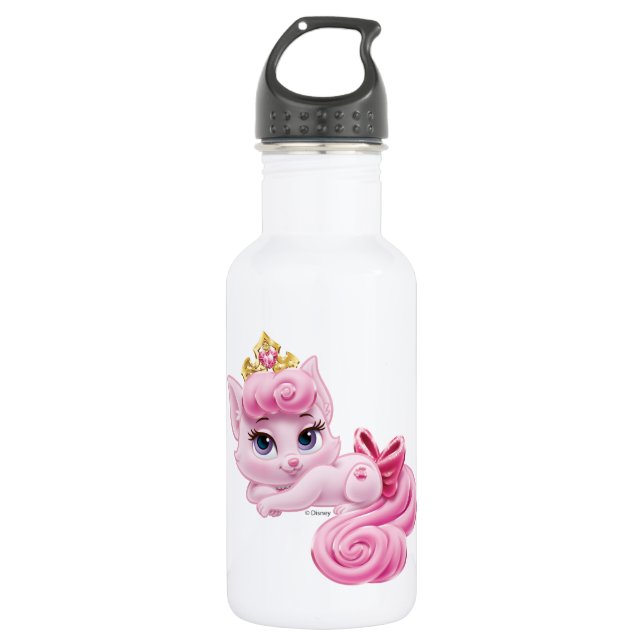 Whisker Haven | Dreamy 532 Ml Water Bottle (Front)