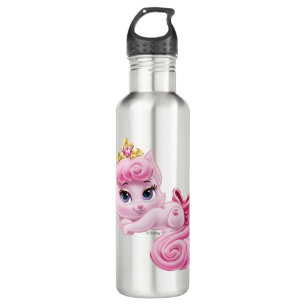 Whisker Haven   Dreamy 710 Ml Water Bottle