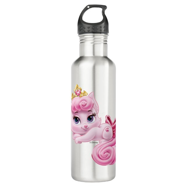 Whisker Haven | Dreamy 710 Ml Water Bottle (Front)