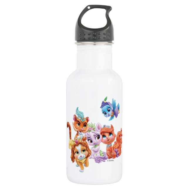 Whisker Haven | Hearts Hooves Paws 532 Ml Water Bottle (Front)