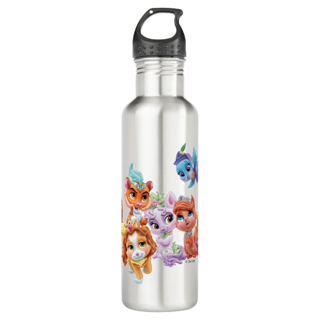 Whisker Haven | Hearts Hooves Paws 710 Ml Water Bottle (Front)