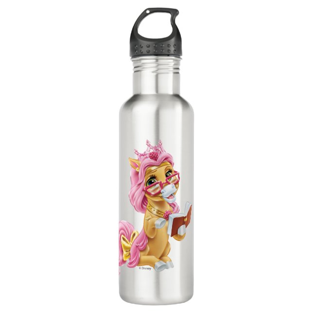 Whisker Haven | Petite 710 Ml Water Bottle (Front)