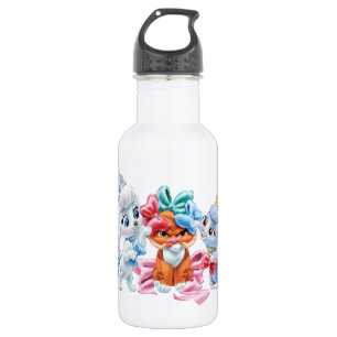 Whisker Haven   Points for Style 532 Ml Water Bottle