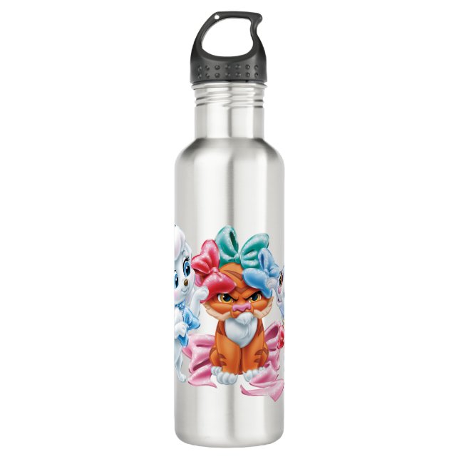 Whisker Haven | Points for Style 710 Ml Water Bottle (Front)