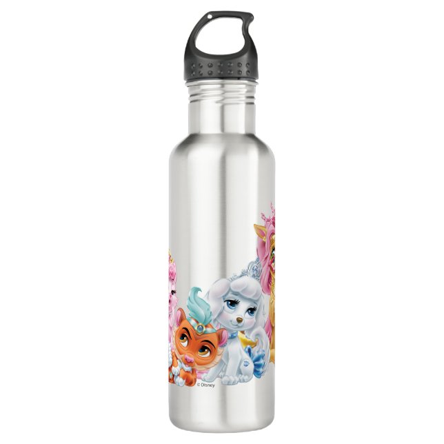 Whisker Haven | Primped & Pampered 710 Ml Water Bottle (Front)