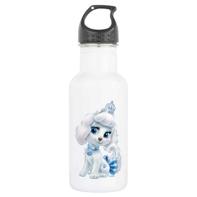Whisker Haven | Pumpkin 532 Ml Water Bottle (Front)
