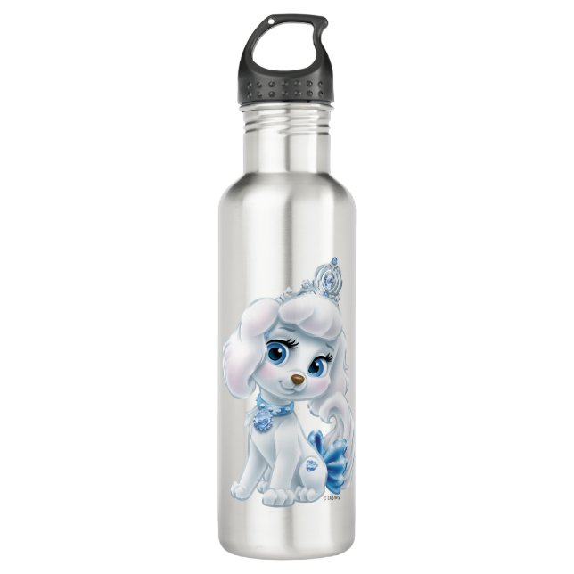 Whisker Haven | Pumpkin 710 Ml Water Bottle (Front)