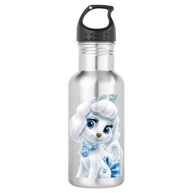Whisker Haven | Pumpkin 710 Ml Water Bottle (Front)