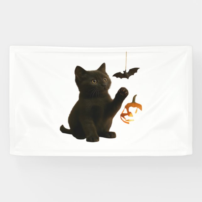 Whisker Hex & Lantern Glow Classic T-Shirt Banner (Horizontal)