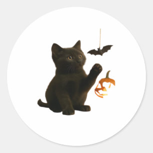 Whisker Hex & Lantern Glow Classic T-Shirt Classic Round Sticker