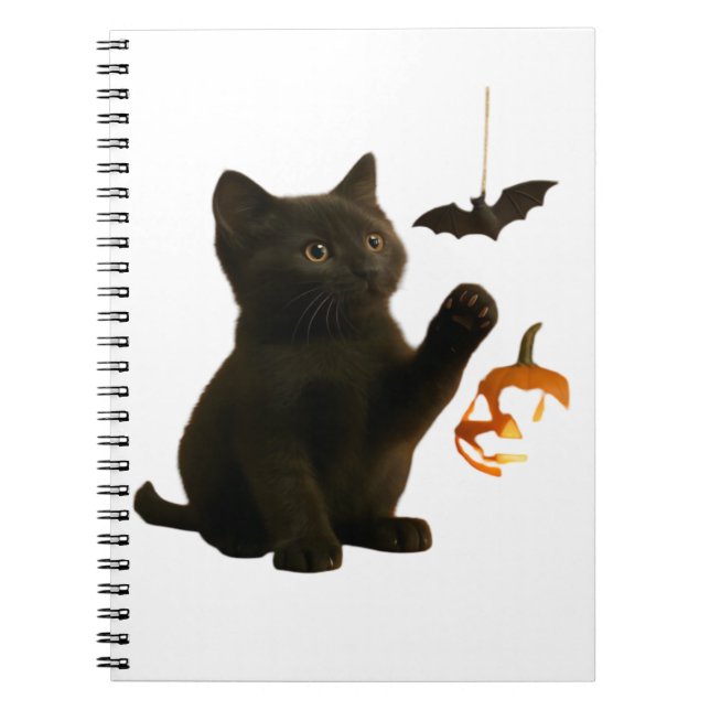 Whisker Hex & Lantern Glow Classic T-Shirt Notebook (Front)