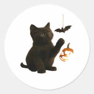 Whisker Hex & Lantern Glow Classic T-Shirt Round Sticker