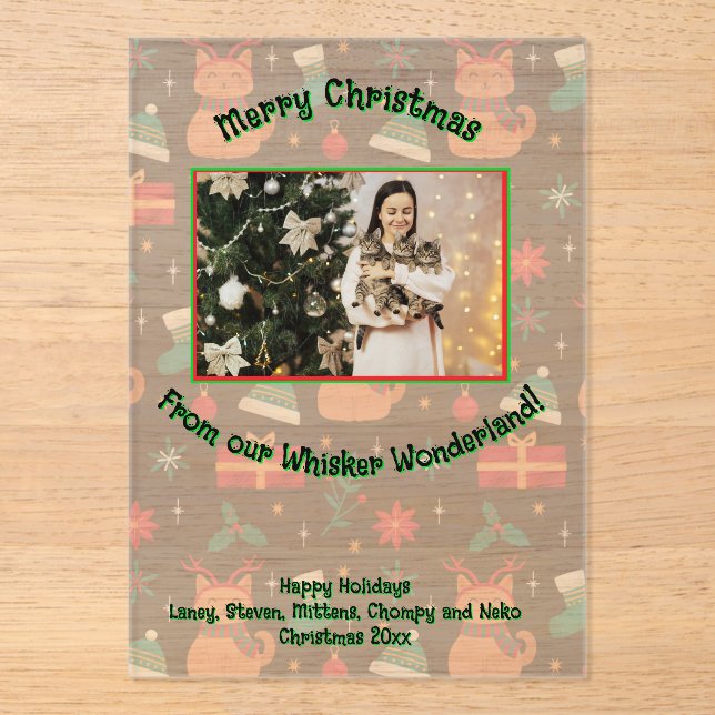 Whisker Wonderland Acrylic Photo Acrylic Invitations (Front)