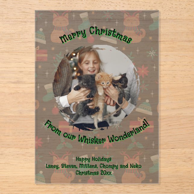 Whisker Wonderland Acrylic Photo Invitations (Front)