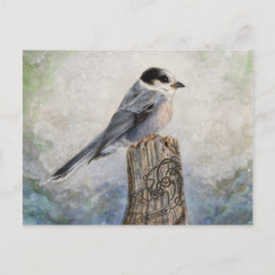 Whiskey Jack Post Card