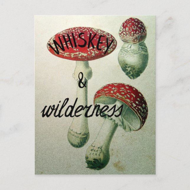 Whiskey & Wilderness Toadstool Postcard (Front)