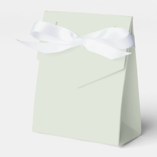 Whisper Green Solid Colour Favor Box (Front Side)