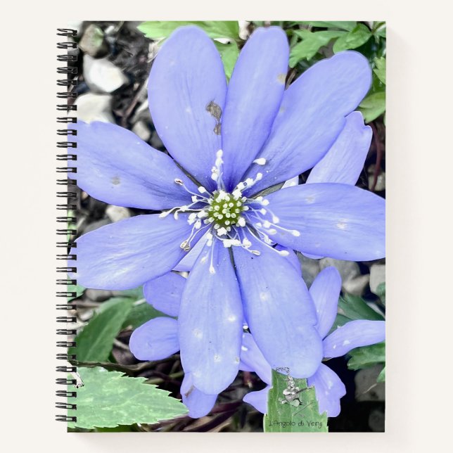 Whisper of the woods - lilac Wildflower in the for Notebook (Front)