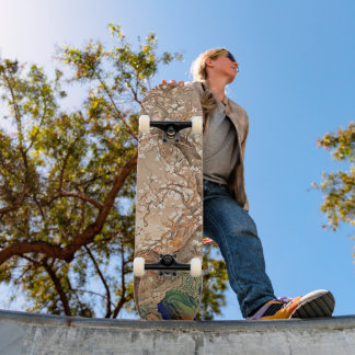 Whispers of the Moon: Plum Blossoms Skateboard