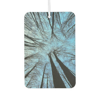 Whispers of the Whisper Forest Air Freshener