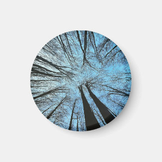 Whispers of the Whisper Forest Magnet