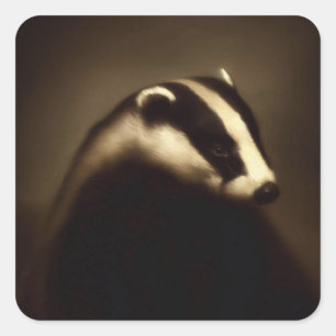 Whispers of the Woodland Badger Square Sticker