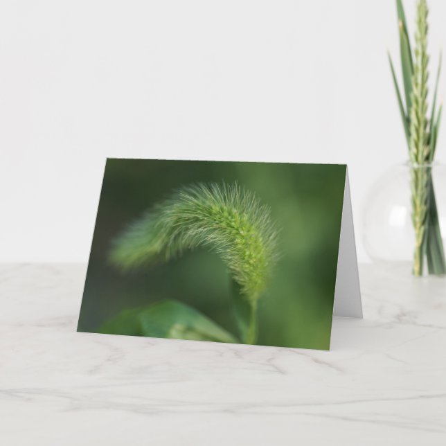 Whispy Grass Greeting Card H (Front)