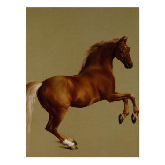 Whistlejacket Race Horse by George Stubbs Postcard