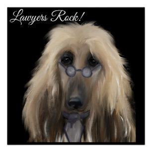 White Afghan Hound    Poster