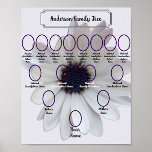 White African Daisy Oval Ancestor Photos Poster