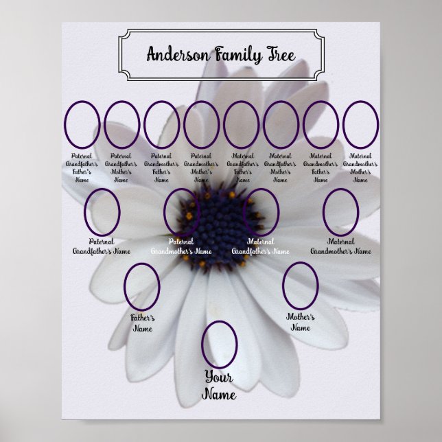 White African Daisy Oval Ancestor Photos Poster (Front)
