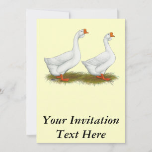 White African Geese Invitation