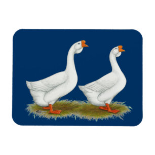 White African Geese Magnet