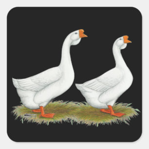 White African Geese Square Sticker