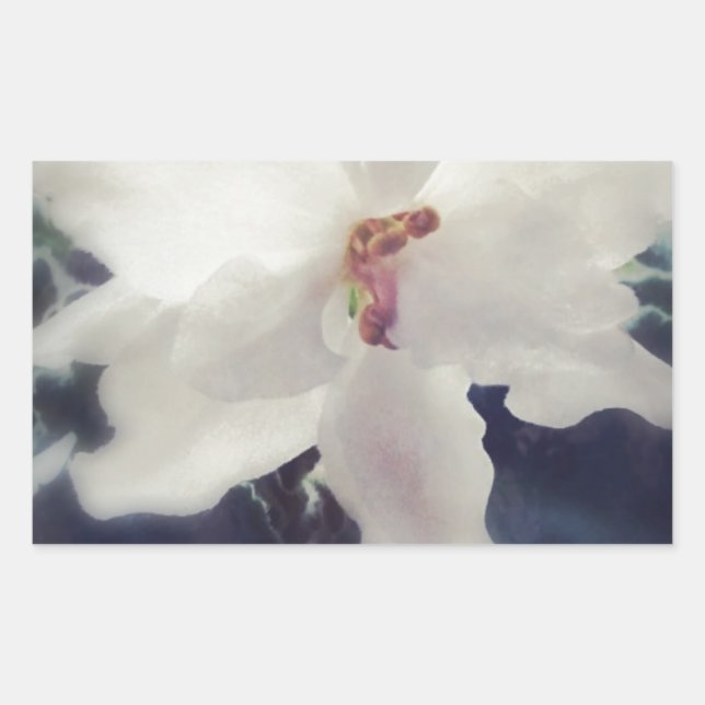 White African Violet Flower Sticker (Front)