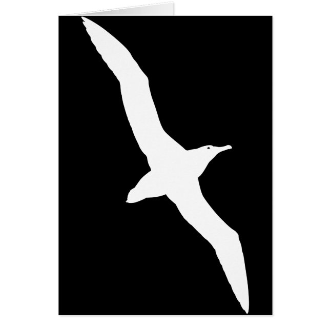 White Albatross Bird In Flight (Front)