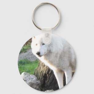 120 Therian ideas  wolf spirit, wolf dog, wolf pictures