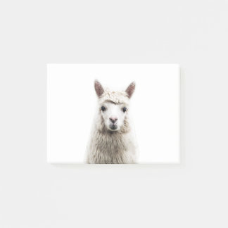 White Alpaca Post-it Notes