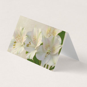 White Alstomeria Flowers Card