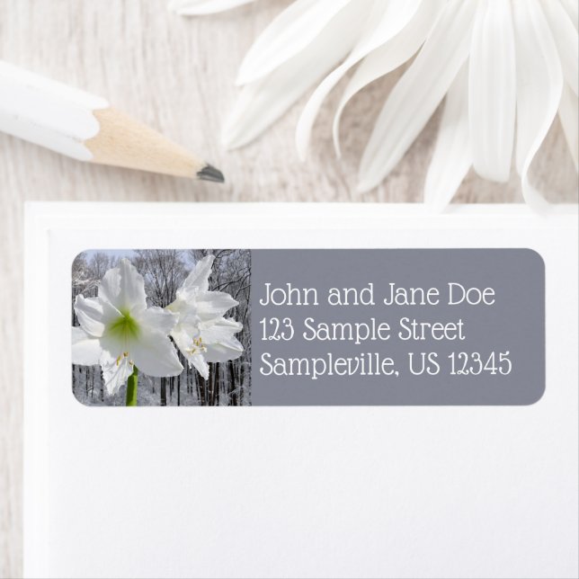 White Amaryllis and Snow I (Insitu)