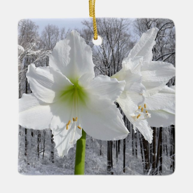 White Amaryllis and Snow I Ceramic Ornament (Front)