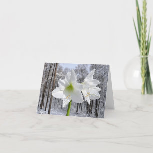 White Amaryllis and Snow I Holiday Card