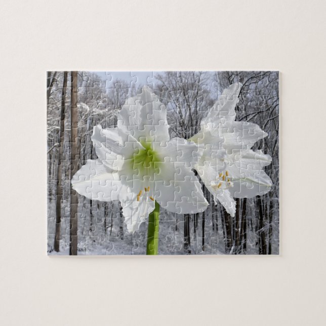 White Amaryllis and Snow I Jigsaw Puzzle (Horizontal)