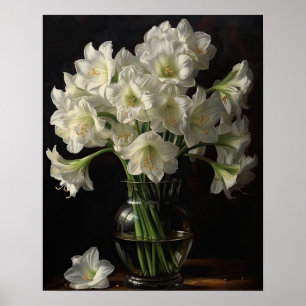 White Amaryllis Flowers Art Print Poster